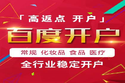SEM主管实战：案例分析与优化策略